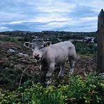 Connemara Sands & 4*