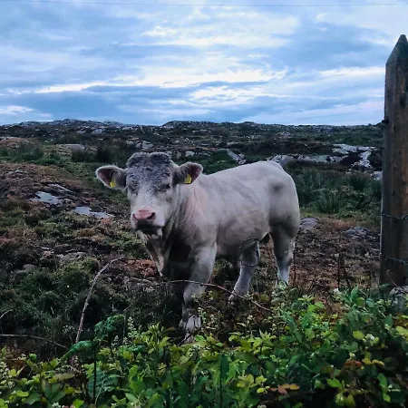 Connemara Sands & 4*