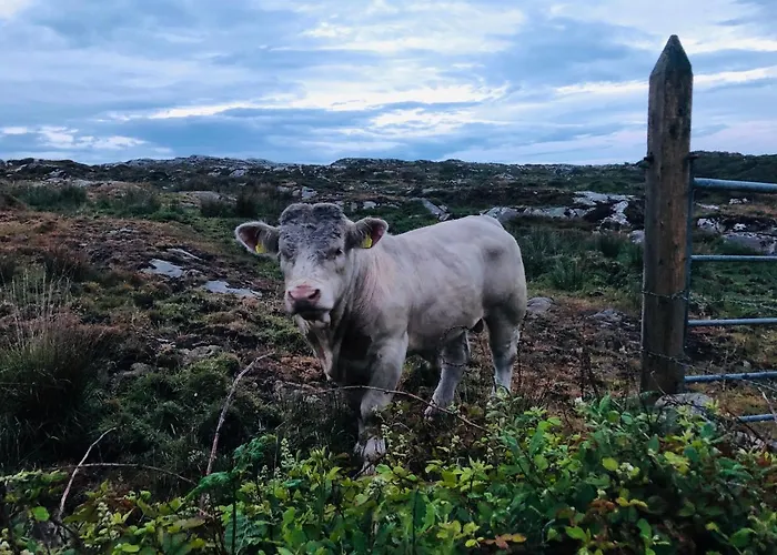 Connemara Sands Hotel & Spa 4*