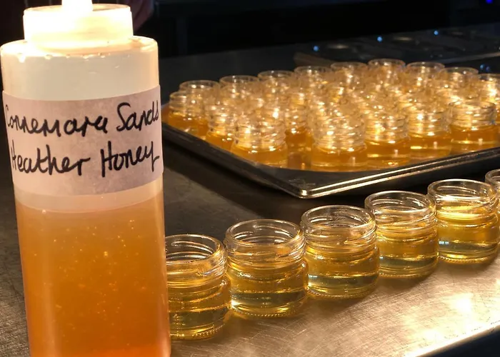 Отель Connemara Sands Hotel & Spa Клифден